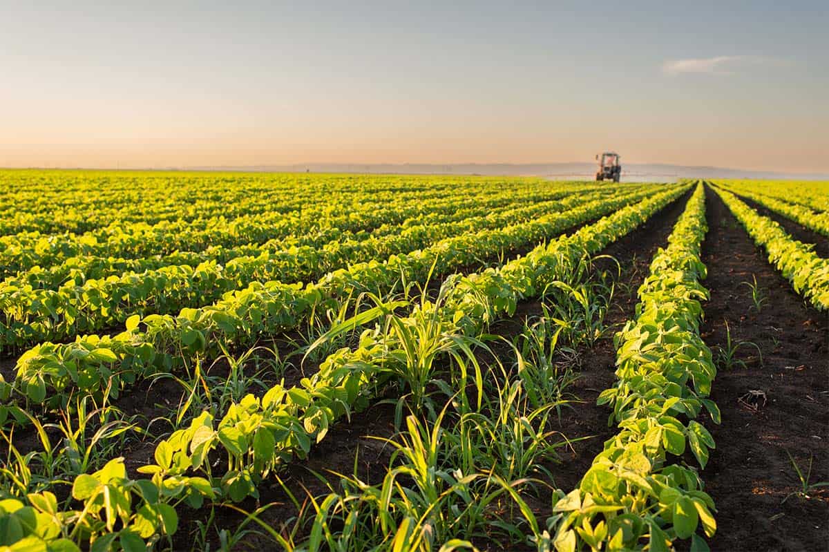AGRICULTURE AGRIBUSINESS